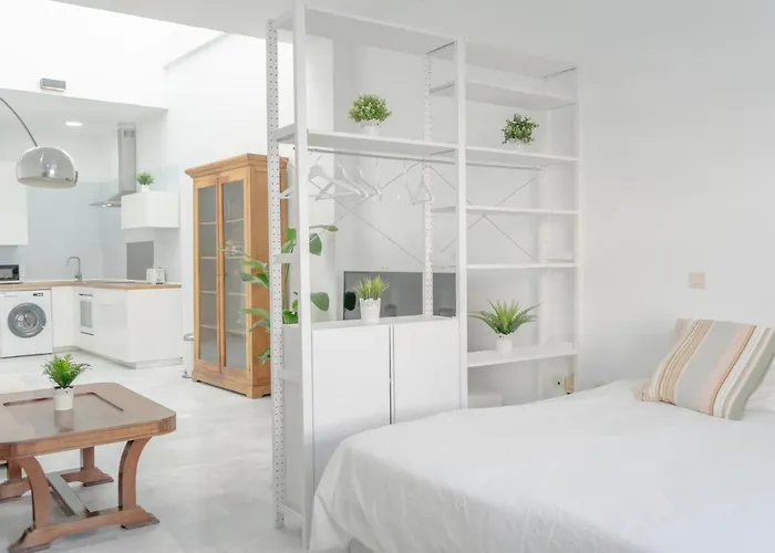 Loft Super Luminoso En El Centro Del Puerto De Santa Maria.